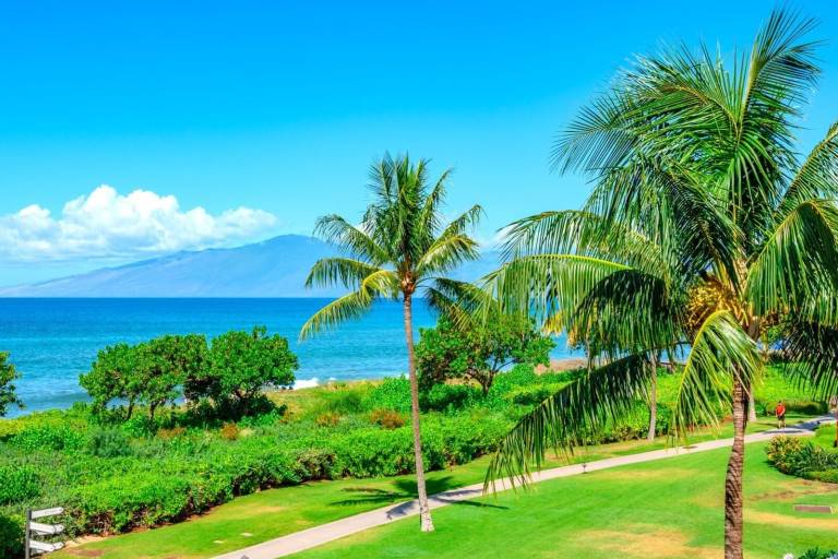 Condo Kaanapali