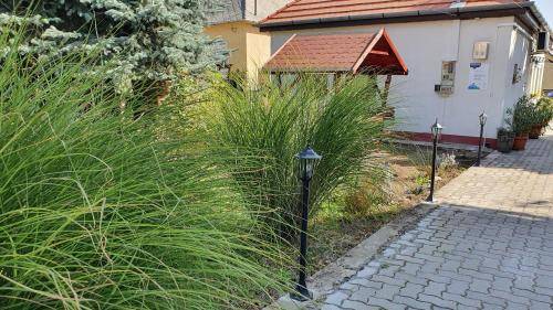 Apartman Székesfehérvár