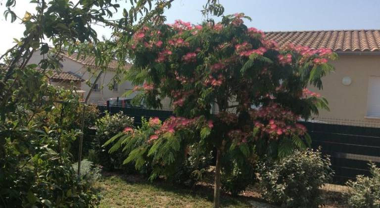 foto20