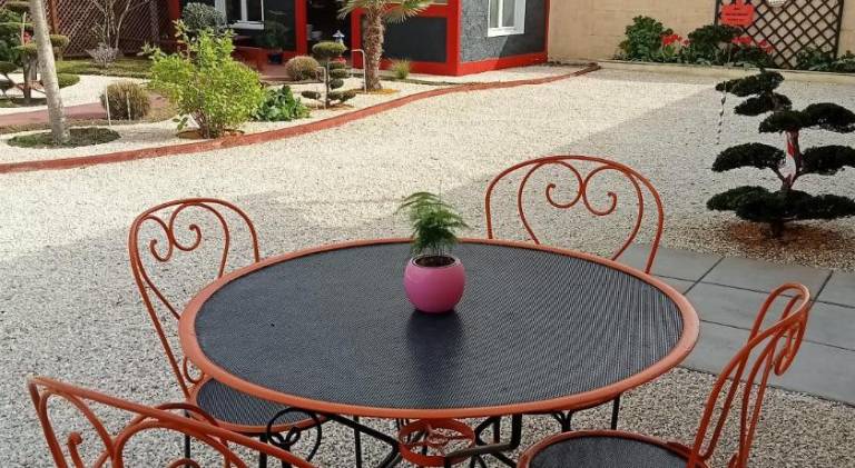 Proche St Emilion, une pause quelque part au jardin des erables et des niwakis — photo 4