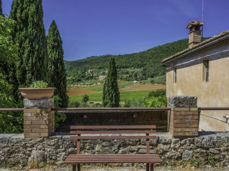 foto11