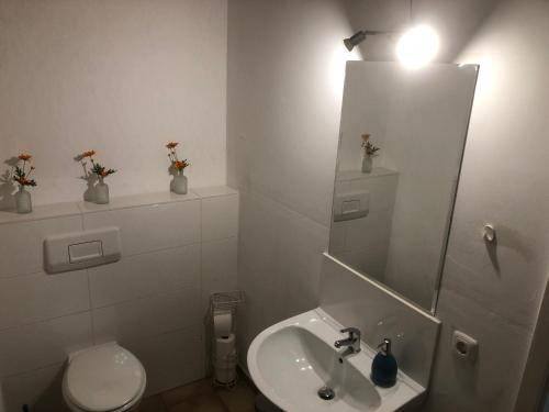foto8