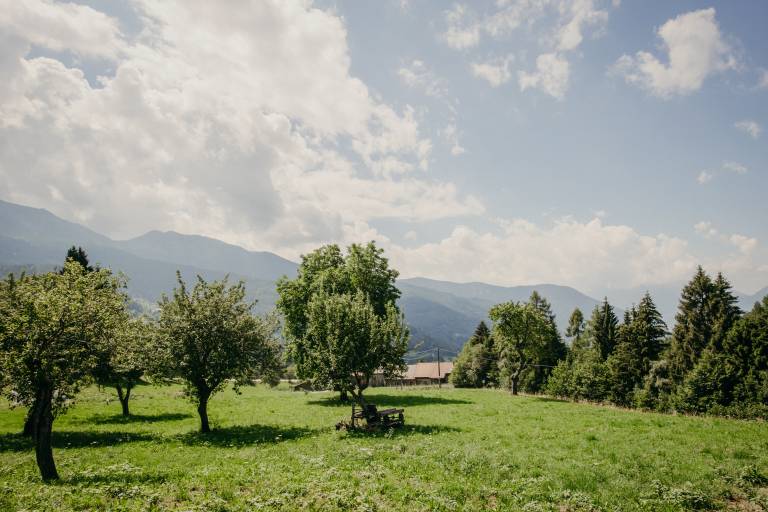 foto14
