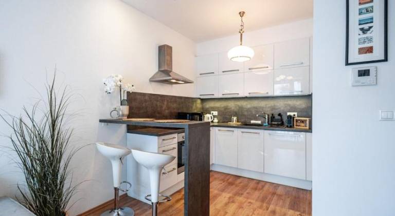 Apartment | Near Bratislava Castle — photo 3