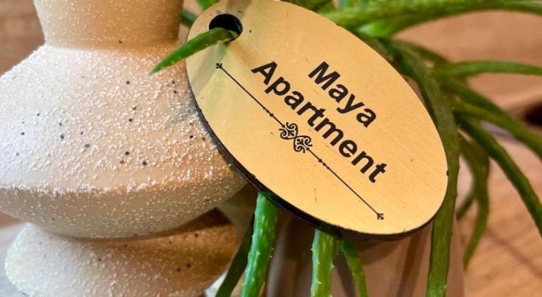 Nice rental apartment | Pets allowed in Cluj-Napoca