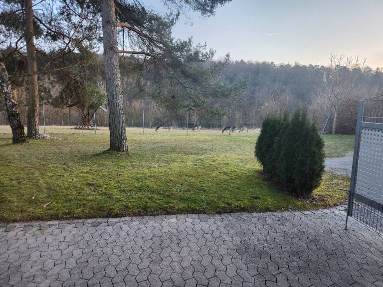 foto15
