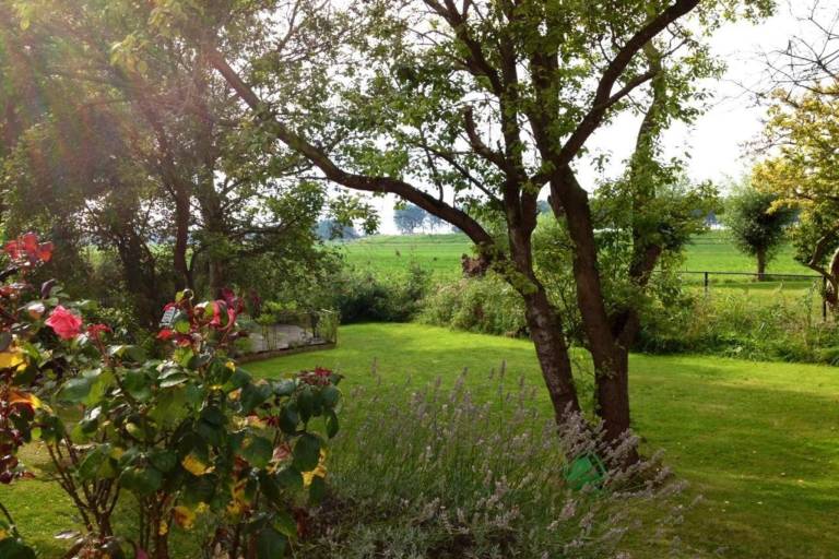 foto39