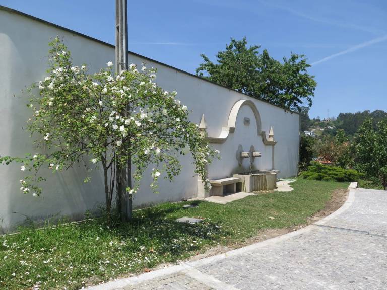 foto46