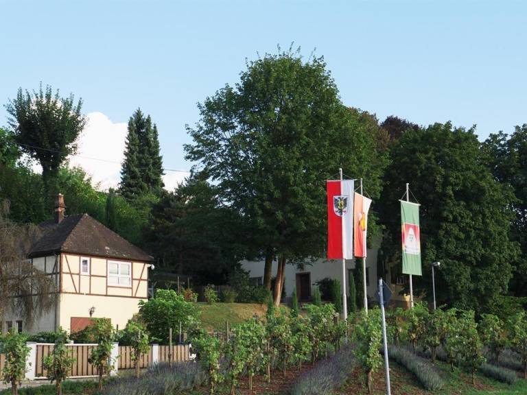 Ferienhaus Kippenheim