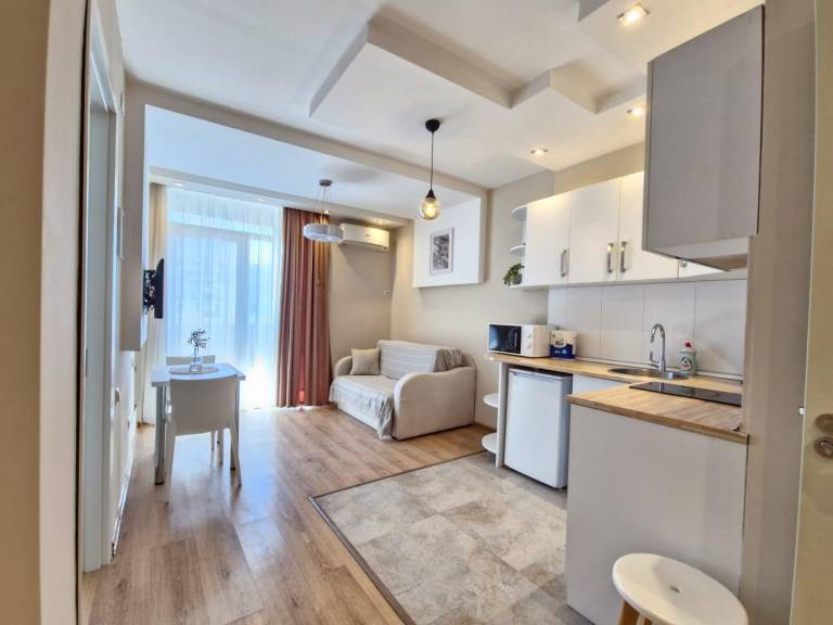Rental apartment with 1 room for 4 persons in Batumi