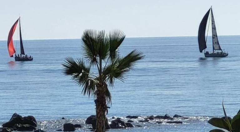 Rental apartment with 1 room for 3 persons — photo 4