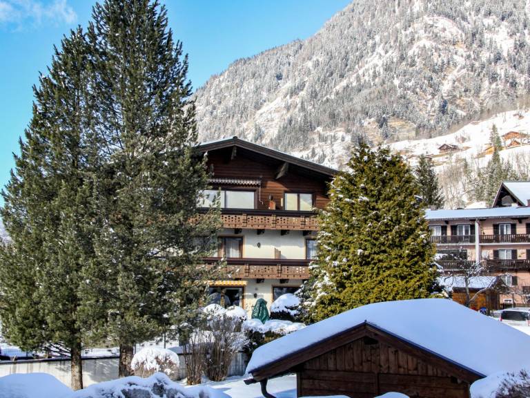 Ferienwohnung Gasteinertal
