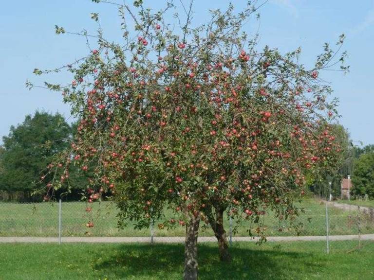 foto15