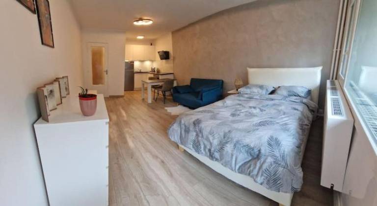 Rental apartment | Pet-friendly in Ferney-Voltaire