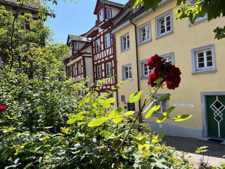 foto11