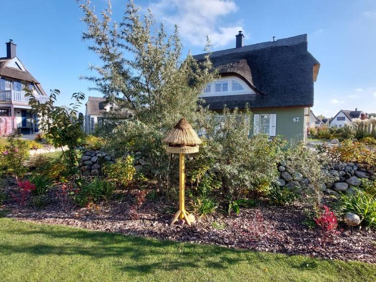 foto21