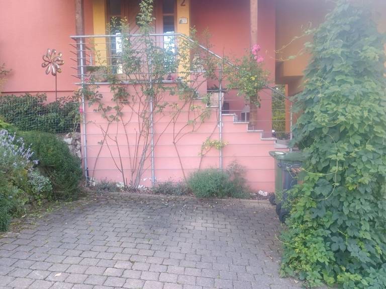 foto20