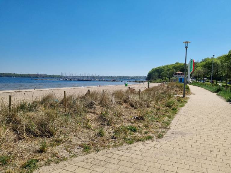 foto41