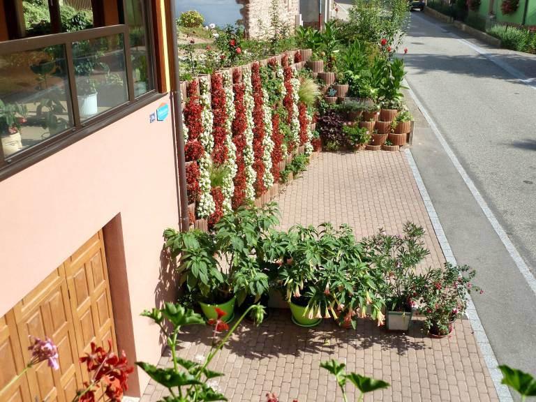 foto5