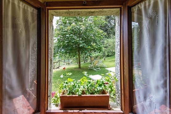foto8