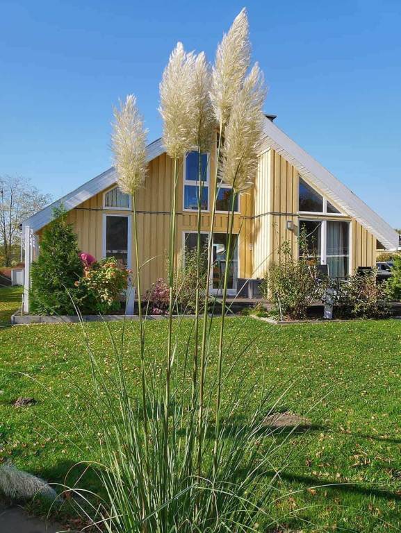 Ferienhaus Scharmützelsee