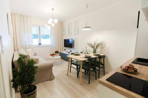 Apartment Orlinki
