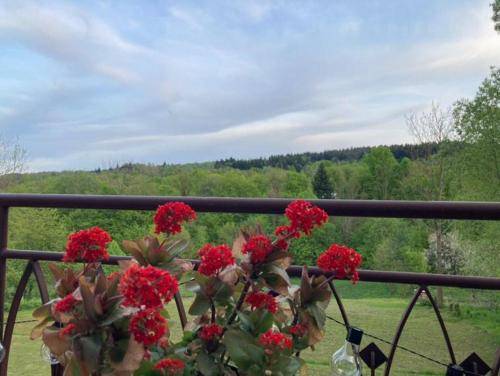 Bed & Breakfast Lanckorona