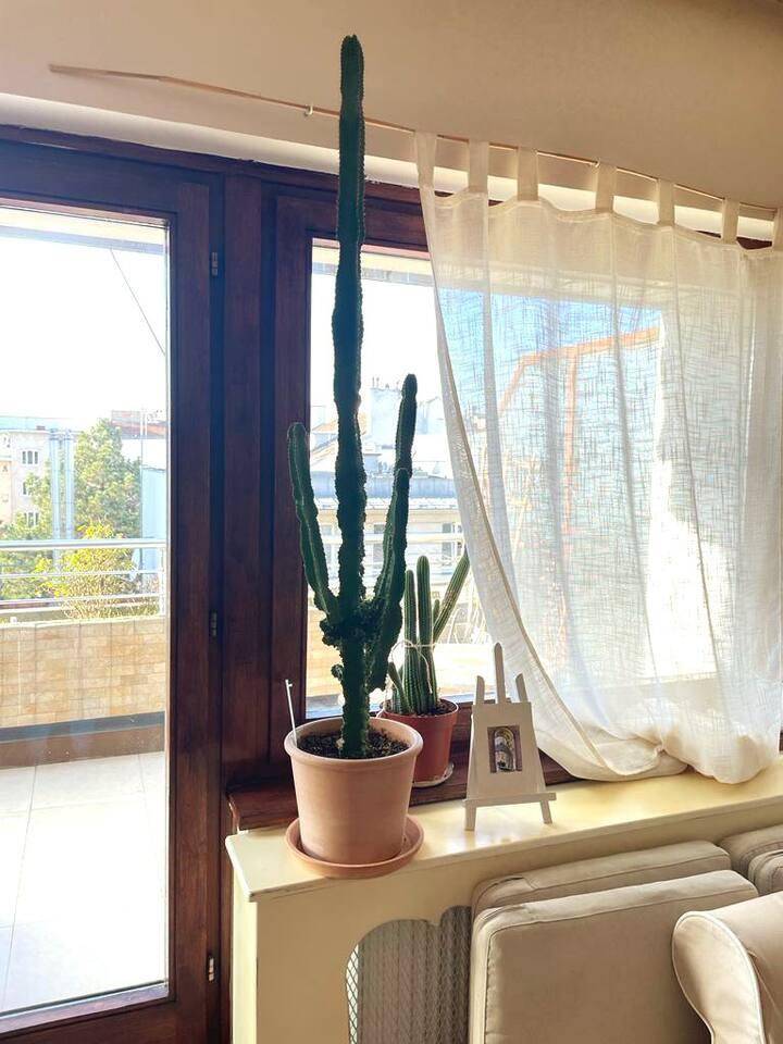 foto31