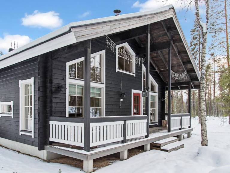 Vacation home with sauna — photo 3
