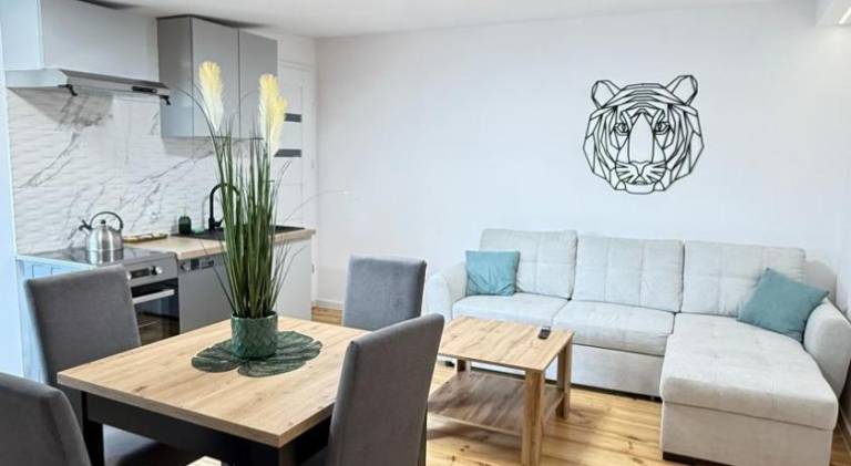 Rental apartment with 1 room for 4 persons in Lódz