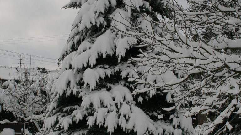 foto5