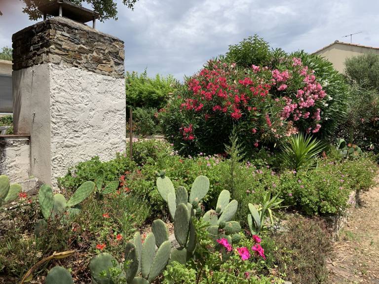 Charming Villa in Bormes-les-Mimosas: Comfort, Relaxation & Beaches Nearby. Pets Welcome — photo 4