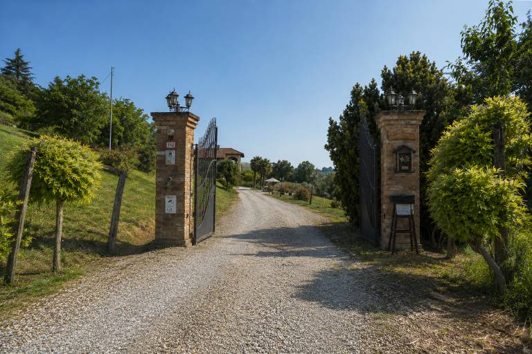 foto7