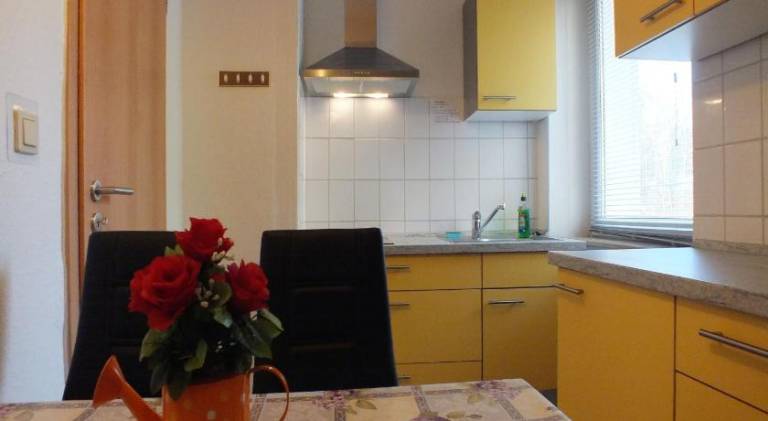 Apartment with barbeque, patio & garden | Next to the beach | Dogs allowed — photo 2