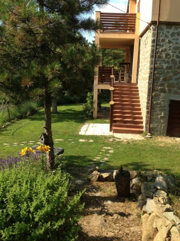 foto11