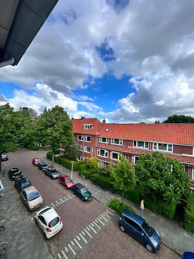 foto11