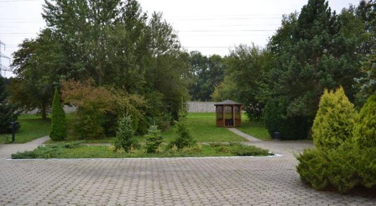 foto42