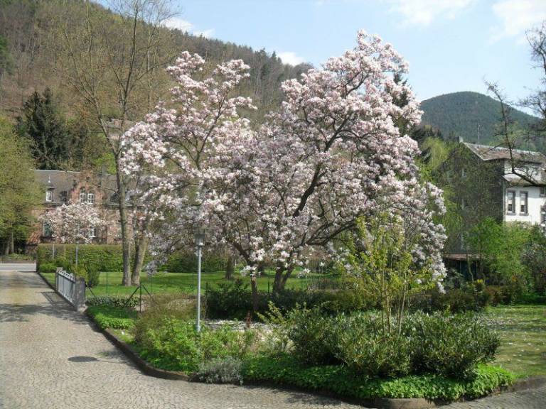 foto2