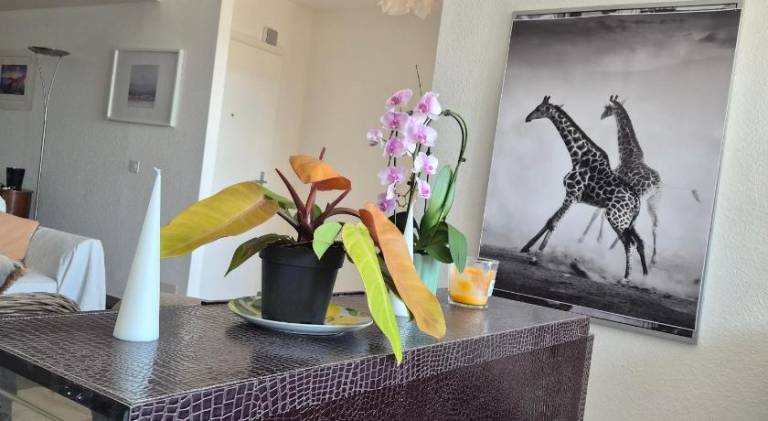 Holiday apartment with patio | Next to Jet d'Eau — photo 4