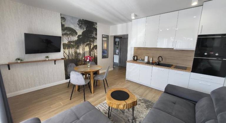 Beautiful rental apartment with sauna, hot tub & patio | Pets are welcome — photo 2