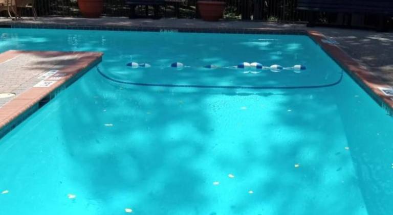 Fully equipped beautiful apartment with yard, patio & pool | Pet-friendly — photo 5