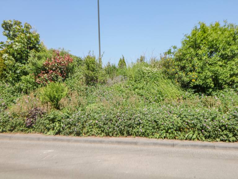 foto32