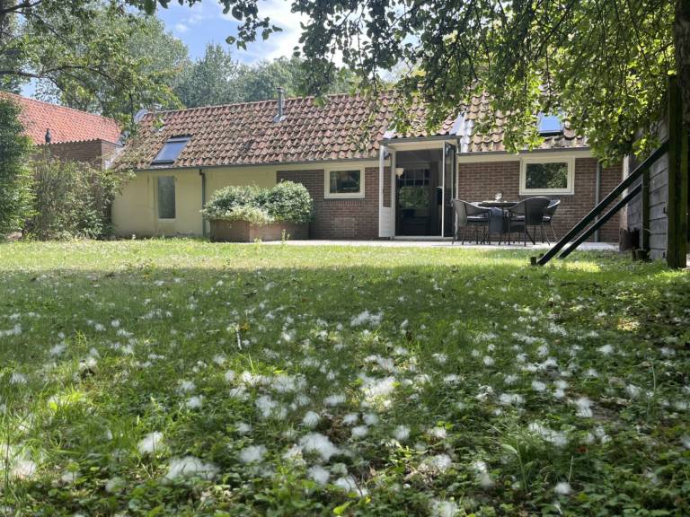 foto25