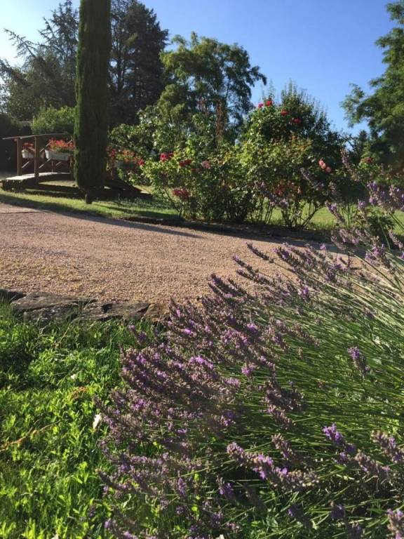 foto20