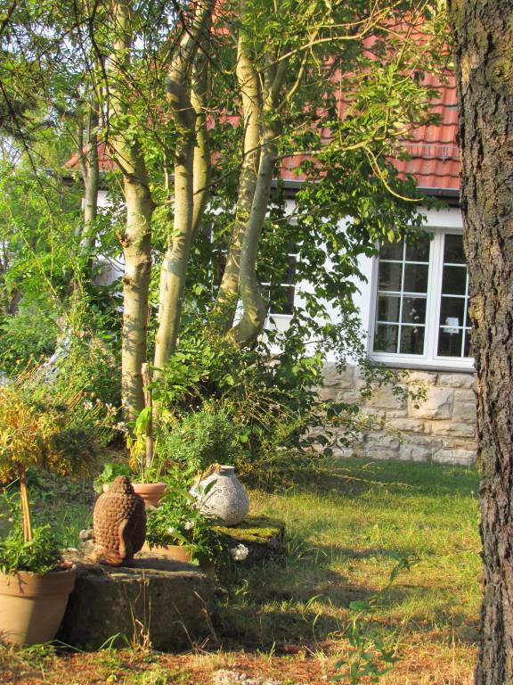 foto20
