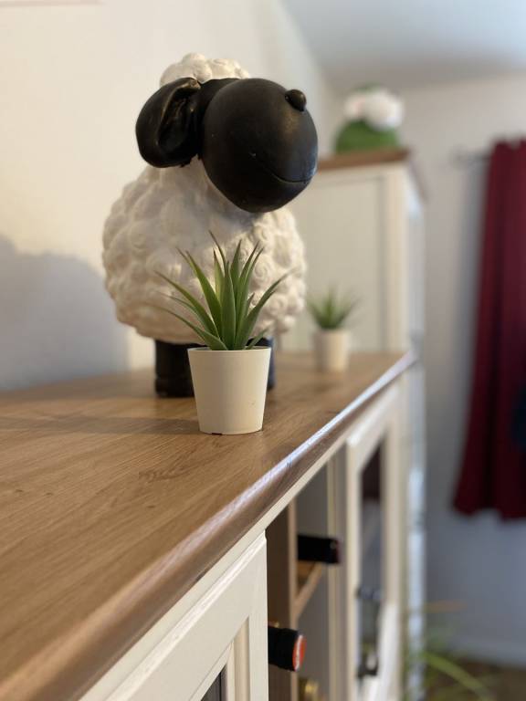 foto2