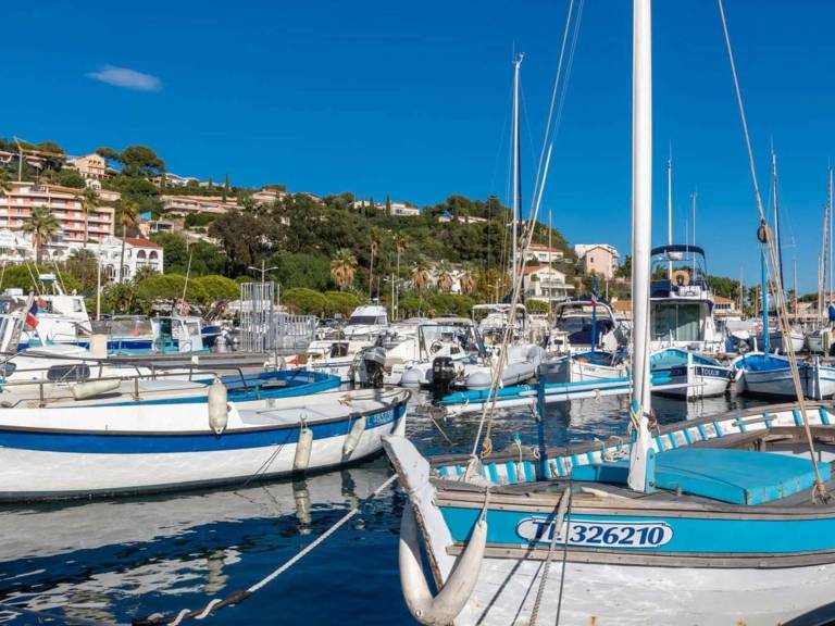 Studio Le Lavandou