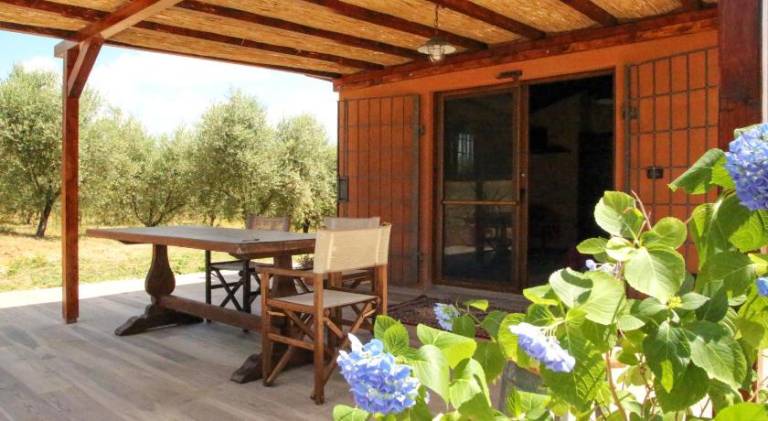 House with grill, garden & terrace | Suitable for remote work — photo 4