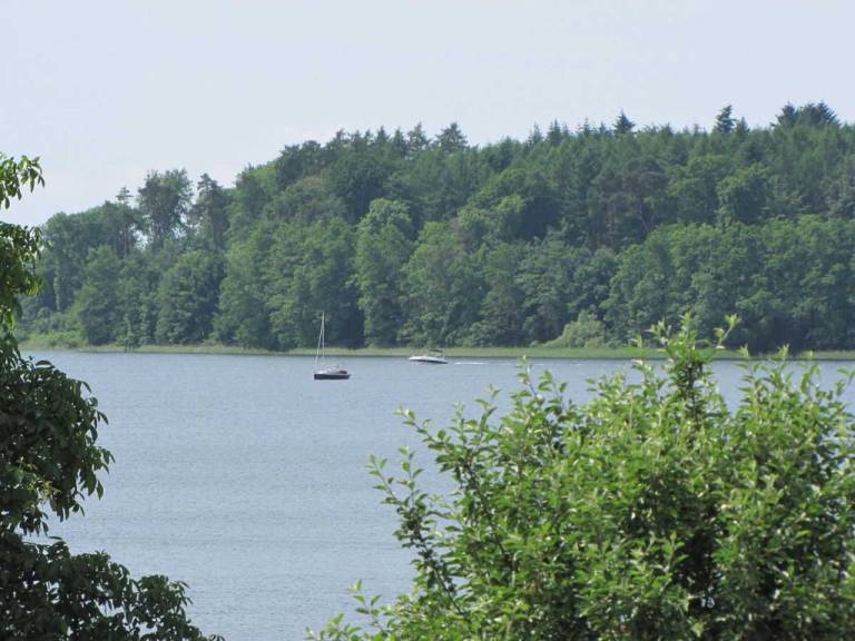 foto16