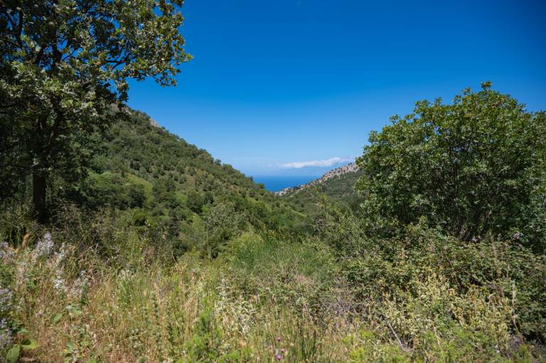 foto48